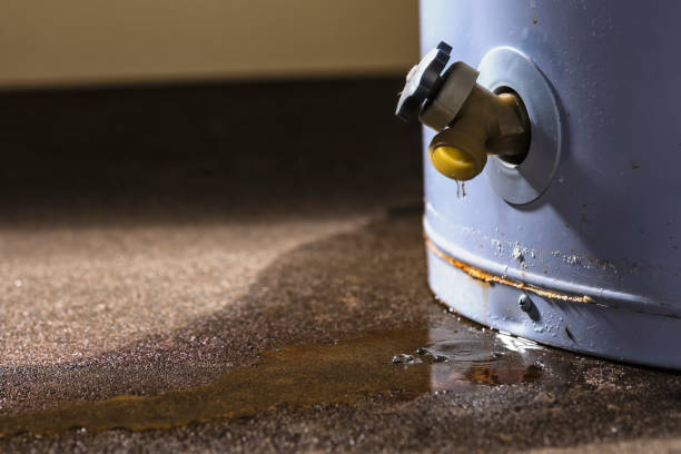 Best Water damage restoration near me  in Aspen, CO