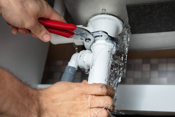 Best Carpet water damage restoration  in Aspen, CO