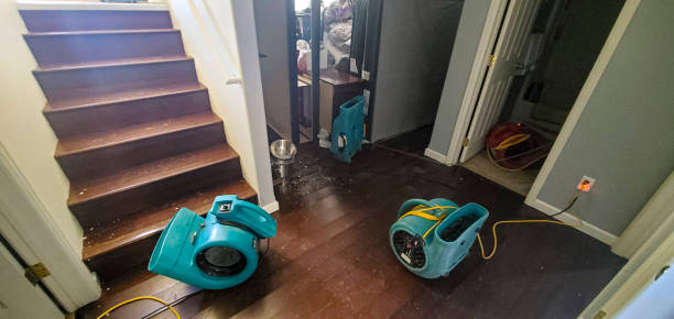 Best Sewage cleanup and water damage restoration  in Aspen, CO