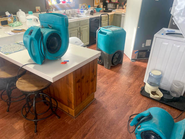 Best Fire Damage Restoration  in Aspen, CO