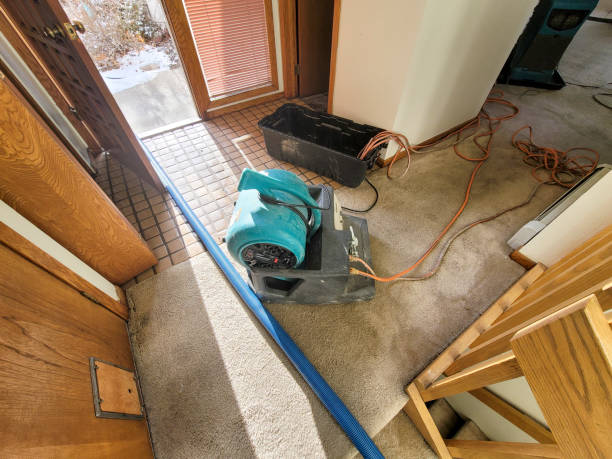 Water damage restoration experts in Aspen, CO
