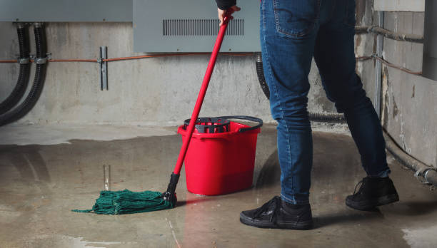 Best Professional water damage repair  in Aspen, CO