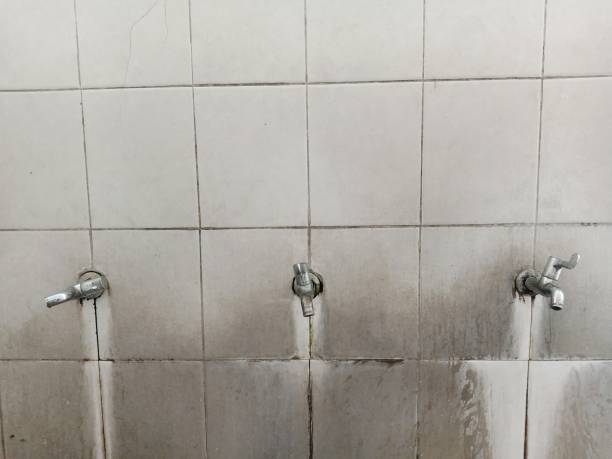 Best Carpet water damage restoration  in Aspen, CO