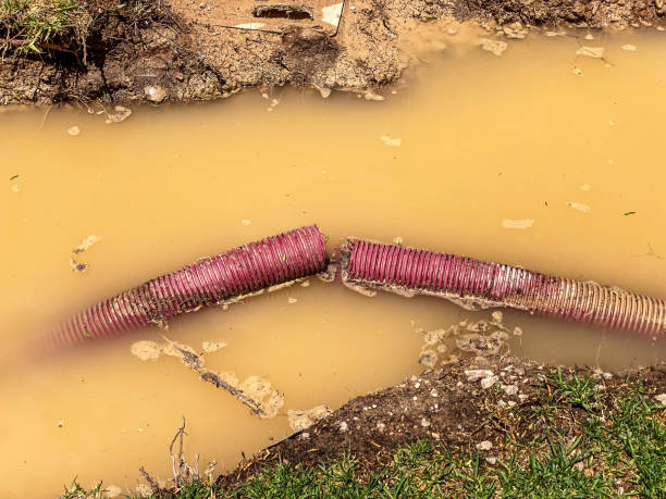 Best Residential water damage restoration  in Aspen, CO