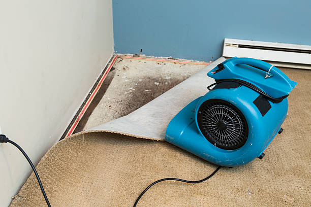 24/7 water damage repair in Aspen, CO